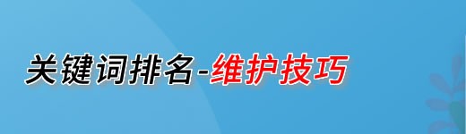 网站优化、网站建设、网站推广、SEO